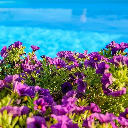 Liogerma Apartman Muszáta